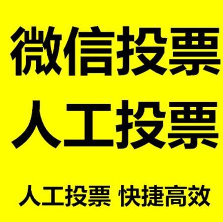 宜昌市小程序微信拉票通过什么方式操作有哪些方法操作？